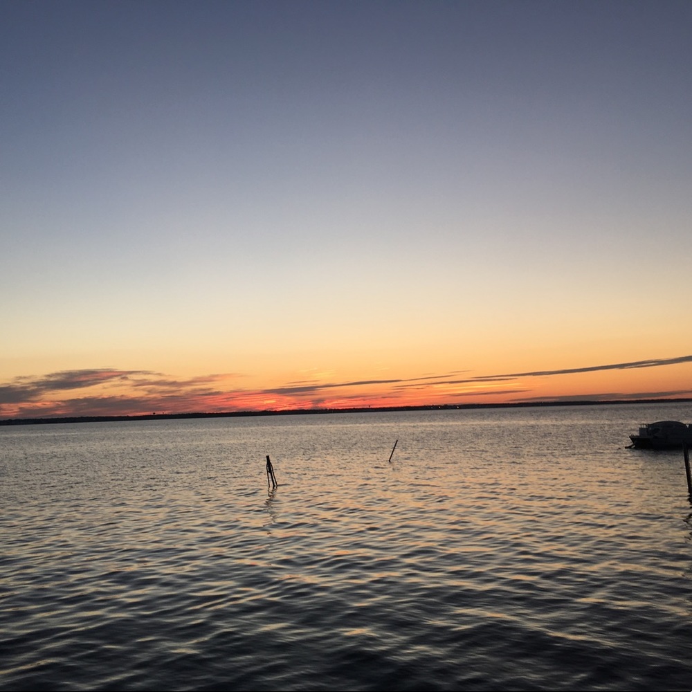 Meet your Posher, Sheyenne